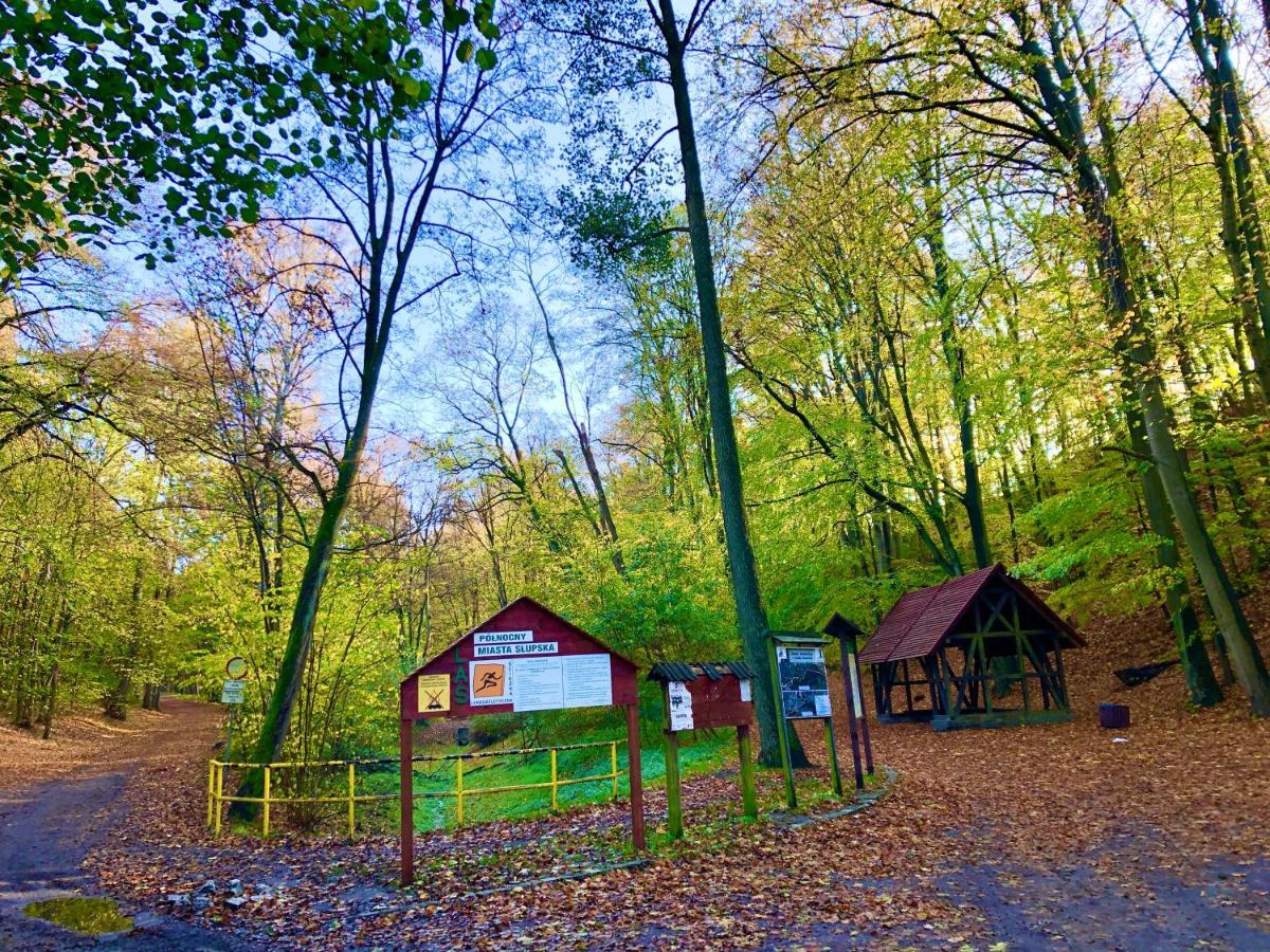 Las Slupski Premium Apartament Nr6 Wifi Netflix Smart Tv50 Two Bedrooms Two Extra Large Double Beds Up To 6 People Full Pleasure Quality Stay (Adults Only) Exterior photo